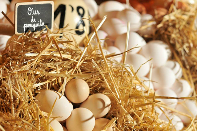 Creación embalaje para granja de huevos - Proyecto diseño y creatividad