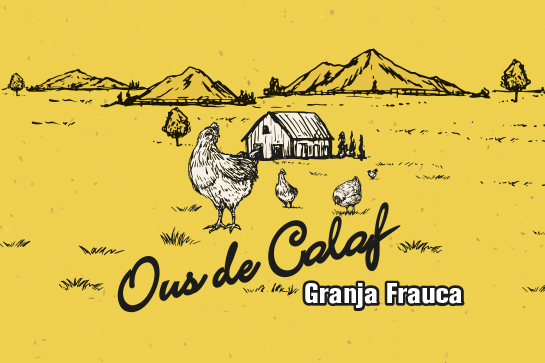 Proyecto diseño nueva imagen gráfica Hueveras para “Ous de Calaf” - Gráfica personalizada - Development Media